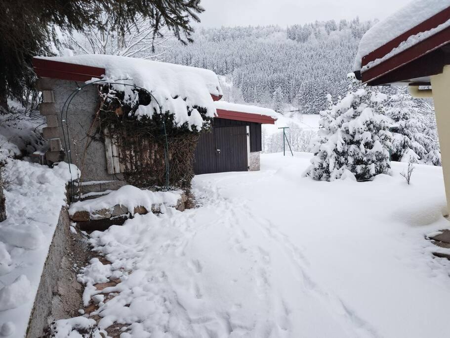 Maison De Montagne Vue Magnifique Ventron Exteriér fotografie