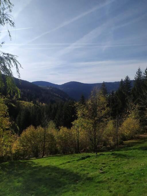Maison De Montagne Vue Magnifique Ventron Exteriér fotografie