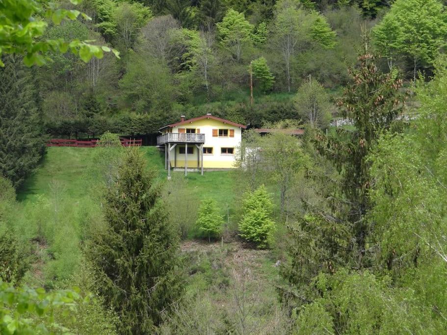 Maison De Montagne Vue Magnifique Ventron Exteriér fotografie