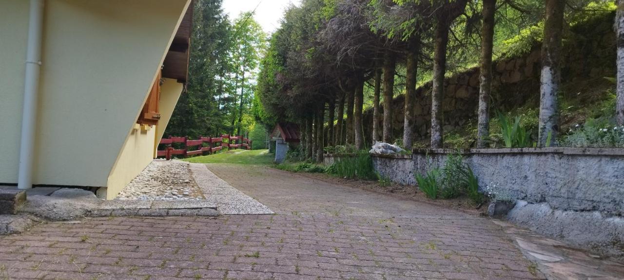 Maison De Montagne Vue Magnifique Ventron Exteriér fotografie